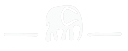 waxman elefante